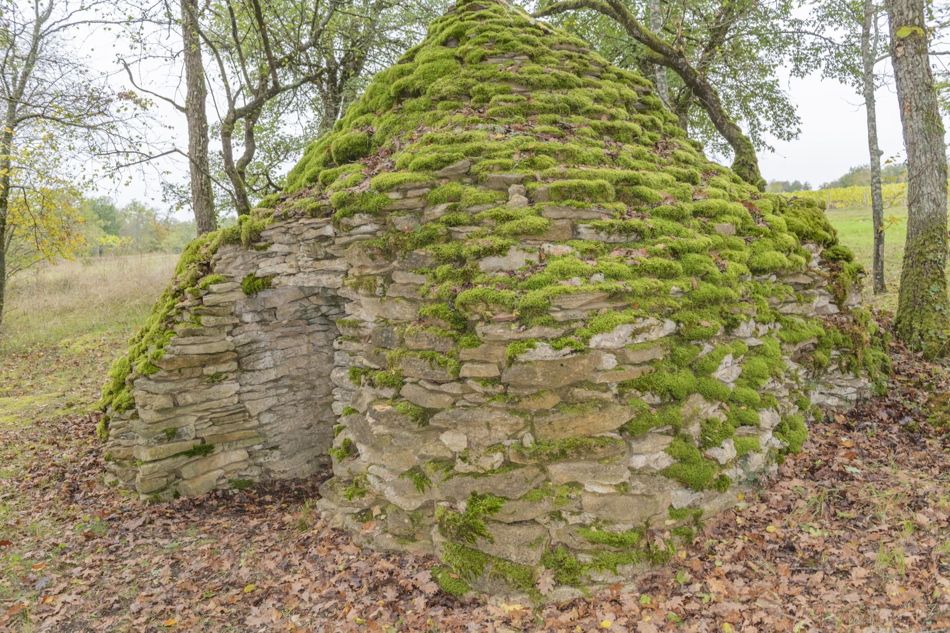 LES_RICEYS_HAUTES-RIVES_cadole_b7